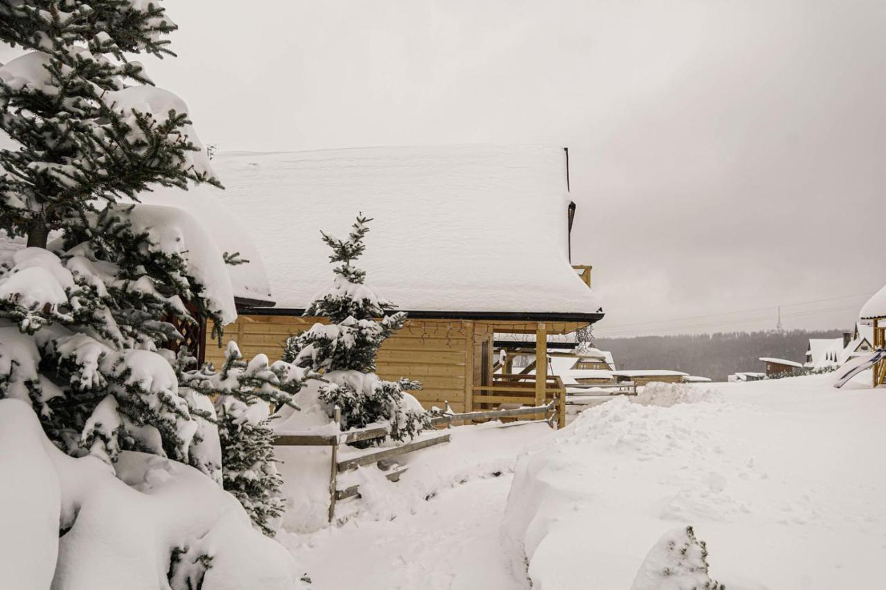 Domek Na Zrabku Pod Gubalowka ซาโกปาเน ภายนอก รูปภาพ